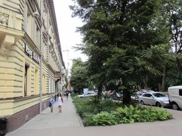 Апартаменты Двухкомнатные Для 6Х Около Парка В Центре Lviv Exterior foto